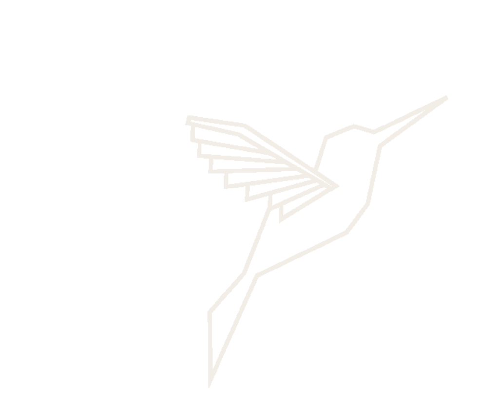 Logo colibrí en línea fina