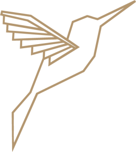 Logo colibrí minimalista